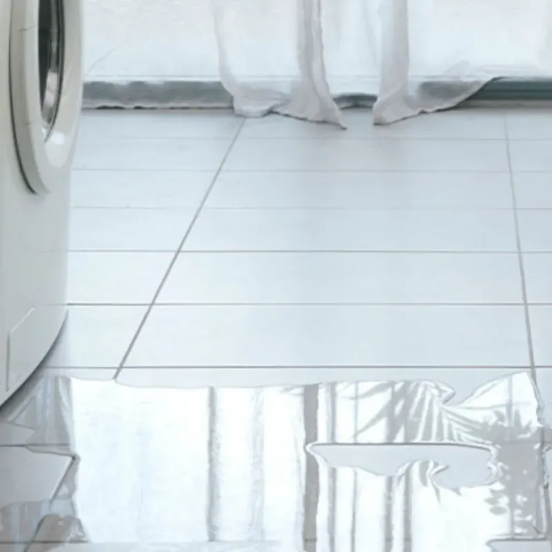 Appliance Leak Cleanup in Cana, VA