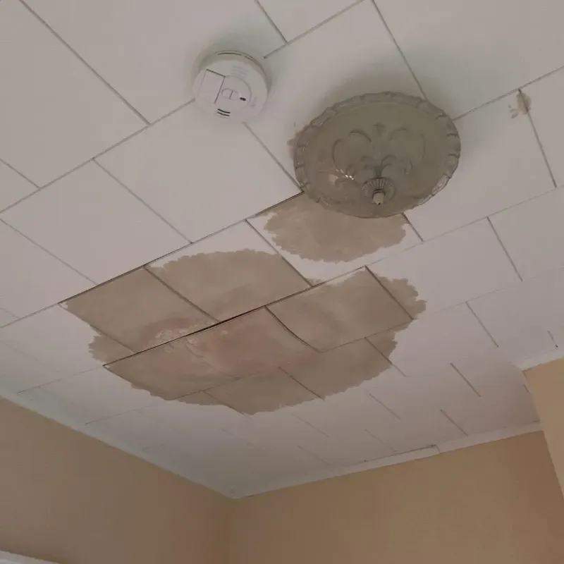 Ceiling Water Damage Repair in Cana, VA