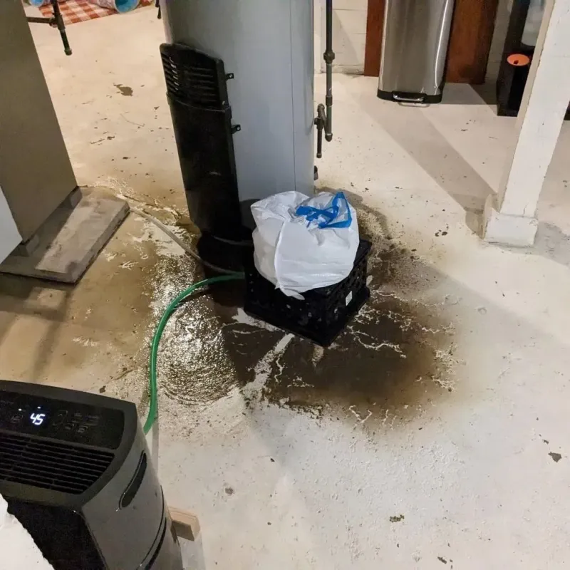 Sewage Backup Cleanup Service in Cana, VA